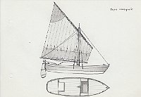 298 Topo romagnolo